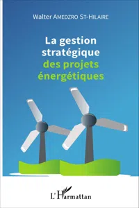 La gestion stratégique des projets énergétiques_cover