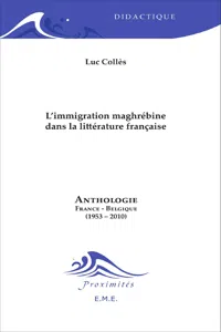 L'immigration maghrébine dans la littérature française_cover