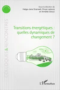 Transitions énergétiques : quelles dynamiques de changement ?_cover