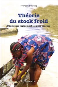 Théorie du stock froid_cover