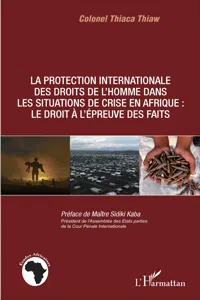 La protection internationale des droits de l'homme dans les situations de crise en Afrique :_cover