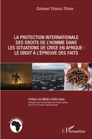 La protection internationale des droits de l'homme dans les situations de crise en Afrique :