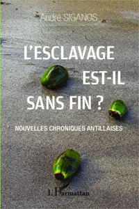 L'esclavage est-il sans fin ?_cover