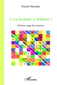 C'est la faute à Voltaire !_cover