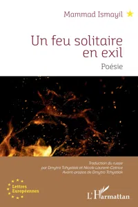 Un feu solitaire en exil_cover