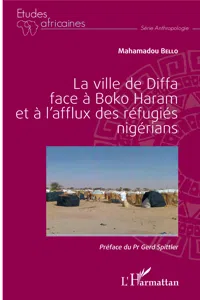 La ville de Diffa face à Boko Haram et à l'afflux des réfugiés nigérians_cover