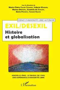 Exil/Desexil_cover