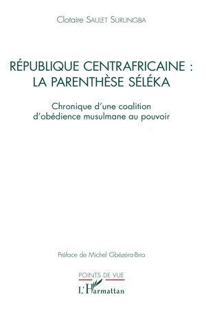 République centrafricaine : la parenthèse Séléka