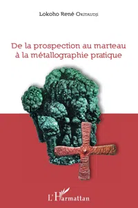 De la prospection au marteau à la métallographie pratique_cover