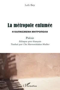 La métropole enfumée_cover