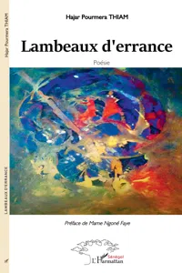 Lambeaux d'errance_cover