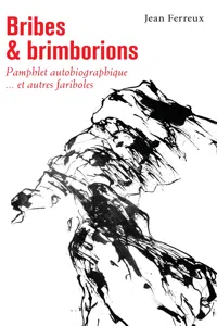 Bribes et brimborions_cover