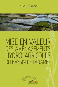 Mise en valeur des aménagements hydro-agricoles du bassin de l'Anambé_cover