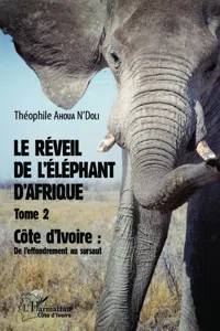 Le réveil de l'éléphant d'Afrique_cover