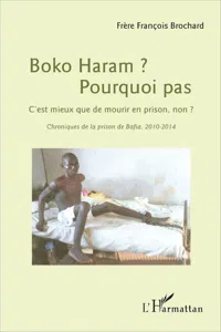 Boko Haram ? Pourquoi pas_cover