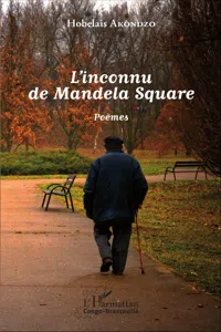 L'inconnu de Mandela Square_cover