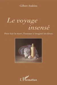 Le voyage insensé_cover