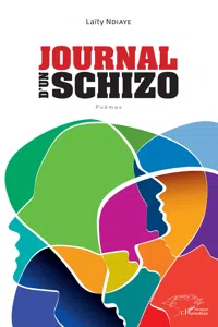 Journal d'un Schizo_cover