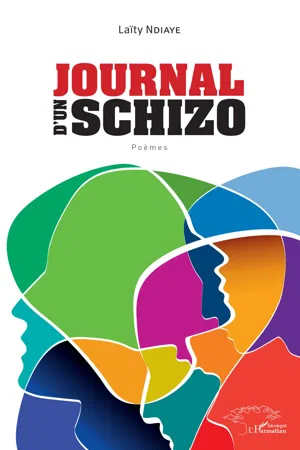 Journal d'un Schizo