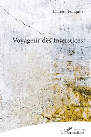 Voyageur des interstices