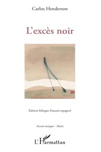 L'excès noir_cover