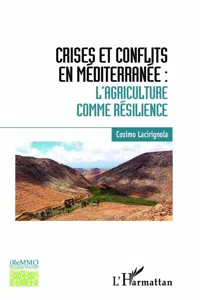 Crises et conflits en Méditerranée_cover