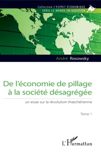 De l'économie de pillage à la société désagrégée_cover