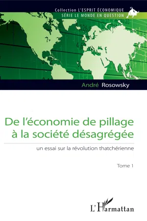 De l'économie de pillage à la société désagrégée (Tome 1)