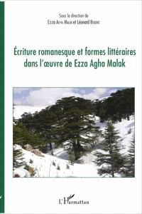 Ecriture romanesque et formes littéraires dans l'oeuvre de Ezza Agha Malak_cover