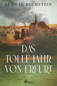 Das tolle Jahr von Erfurt_cover