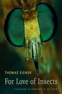 For Love of Insects_cover