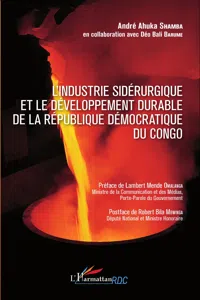 Industrie sidérurgique et le développement durable de la République démocratique du Congo_cover