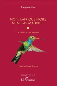 Non, l'Afrique noire n'est pas maudite_cover