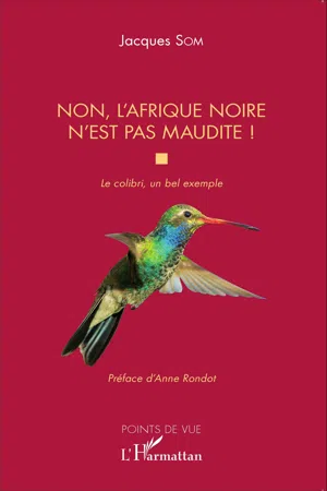 Non, l'Afrique noire n'est pas maudite