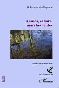 Assises, éclairs, marches lentes_cover