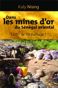 Dans les mines d'or du Sénégal oriental_cover