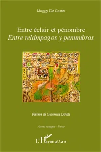 Entre éclair et pénombre_cover