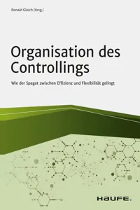 Organisation des Controllings_cover