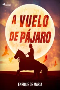 A vuelo de pájaro_cover