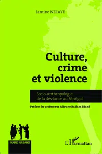 Culture, crime et violence_cover