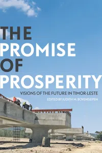 The Promise of Prosperity_cover