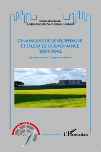 Dynamiques de développement et enjeux de gouvernance territoriale_cover