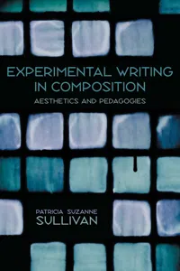 Experimental Writing in Composition_cover