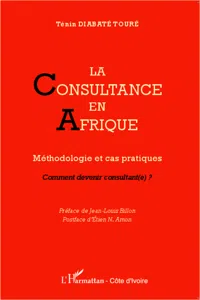 La consultance en Afrique_cover