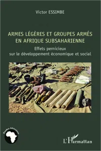 Armes légères et groupes armés en Afrique subsaharienne_cover