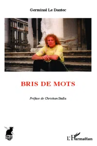 Bris de mots_cover