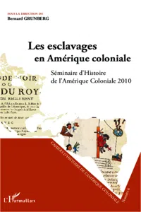 Les esclavages en Amérique coloniale_cover