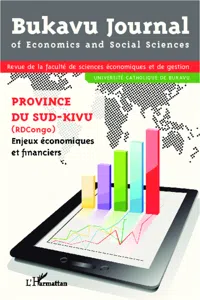 Province du Sud-Kivu Enjeux économiques et financiers_cover