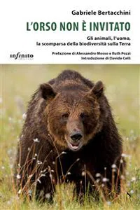 L'orso non è invitato_cover