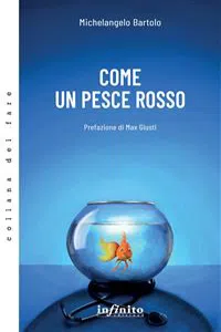 Come un pesce rosso_cover